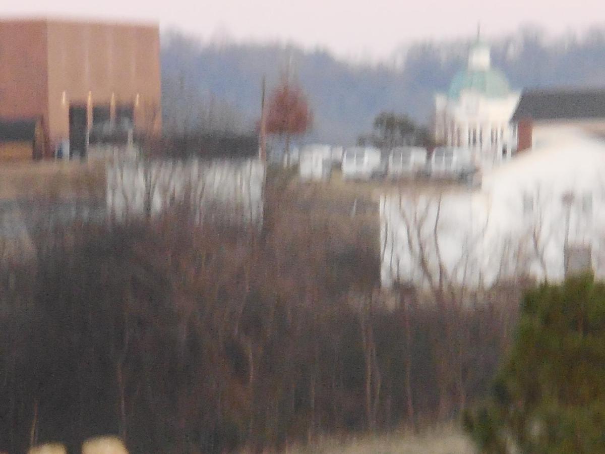 Giles Hotel Inn And Suites Pulaski ภายนอก รูปภาพ
